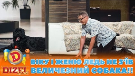🙈 ВІКУ І ЖЕНЮ ЛЕДЬ НЕ ЗʼЇВ 🐶 ВЕЛИЧЕЗНИЙ СОБАКА!! 😱 | ГУМОР ICTV 2023