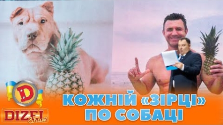 🤣 КОЖНІЙ «ЗІРЦІ» ⭐ ПО СОБАЦІ 🐶 | ГУМОР ICTV 2023