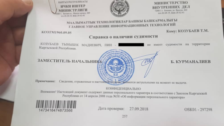 Как получить справку о несудимости: шаги и особенности процесса
