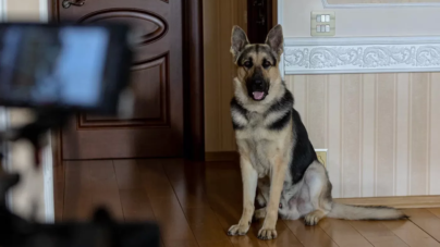 вљЎ РЎС‚Р°СЂС‚РѕРІР°Р»Рё СЃСЉРµРјРєРё РїСЂРѕРґРѕР»Р¶РµРЅРёСЏ СЃРµСЂРёР°Р»Р° Р’РѕР·РІСЂР°С‰РµРЅРёРµ РњСѓС…С‚Р°СЂР° (23.07.2024)