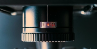 Коронные фильмы ужасов 2020 года от Collider